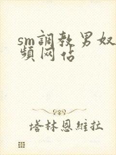 sm调教男奴视频网站
