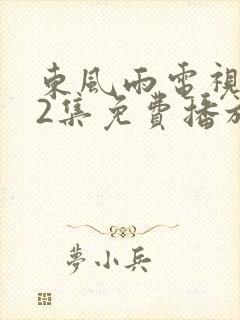 东风雨电视剧42集免费播放