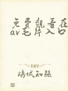 免费观看在线的av毛片入口