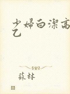 少妇白洁高义王乙