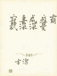 宠妻成瘾霸道总裁深深爱封面