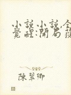 小说小说,全民觉醒:开局获得sss级天赋