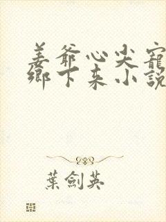 姜爷心尖宠她从乡下来小说看