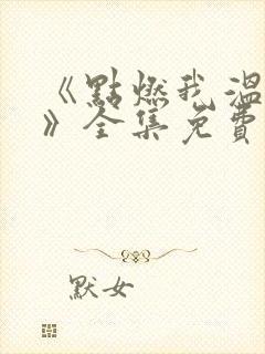 《点燃我温暖你》全集免费观看封面