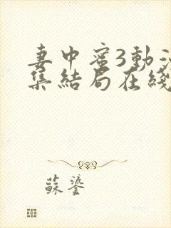 妻中蜜3动漫全集结局在线观看