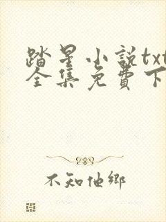 踏星小说txt全集免费下载