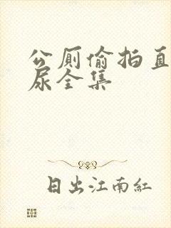 公厕偷拍直男撒尿全集