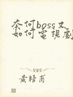 奈何boss又如何电视剧全集免费观看封面