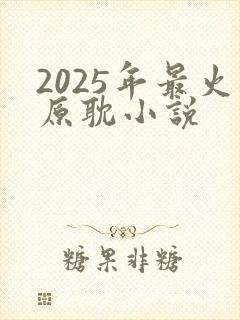 2025年最火原耽小说