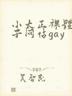 小太正裸体脱裤子网站gay封面
