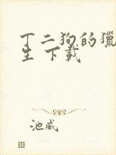 丁二狗的猎艳人生 下载