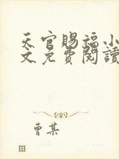 天官赐福小说全文免费阅读未删减txt封面