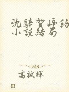 沈辞贺峥的军婚小说结局