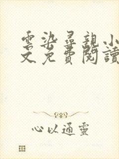 云染寻亲小说全文免费阅读封面