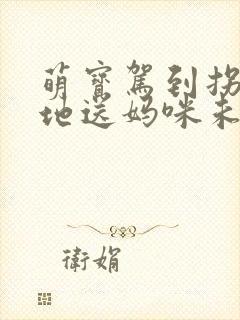 萌宝驾到拐个爹地送妈咪未删减txt下载