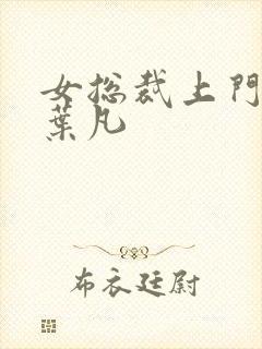 女总裁上门女婿叶凡封面