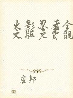 火影忍者全集中文版免费观看