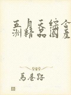 五月天综合网亚洲精品国产精品国产