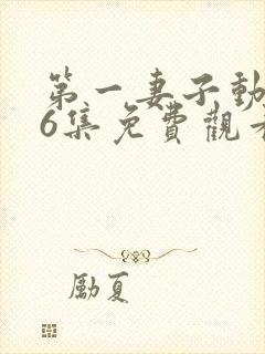 第一妻子动漫第6集免费观看全集封面