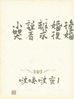 小说离婚后前夫哭着求复婚txt