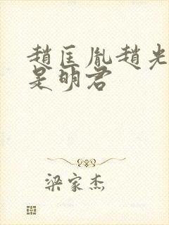 赵匡胤赵光义谁是明君