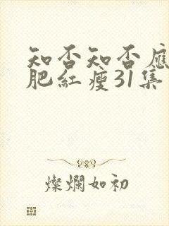 知否知否应是绿肥红瘦31集