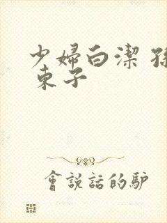 少妇白洁 孙倩 东子封面