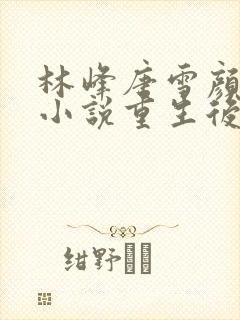 林峰唐雪颜官场小说重生后我权势滔天