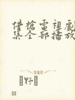 借枪电视剧40集全部播放