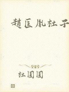 赵匡胤杜子美封面