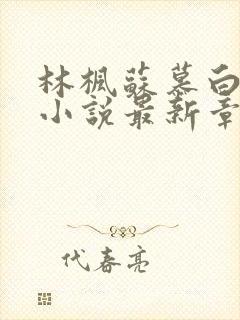 林枫苏慕白穿越小说最新章节封面