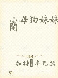 小母狗妹妹笔趣阁封面
