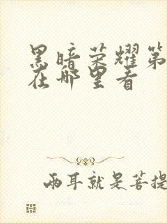 黑暗荣耀第一季在哪里看