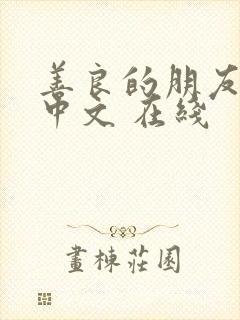 善良的朋友妻子中文 在线