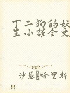 丁二狗的妖孽人生小说全文免费