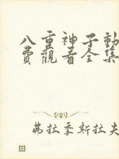 八重神子动漫免费观看全集高清