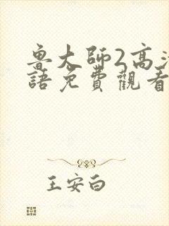 鲁大师2高清国语免费观看