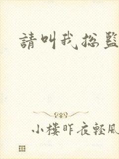 请叫我总监小说封面