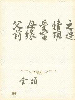 父母爱情之再续前缘电视连续剧