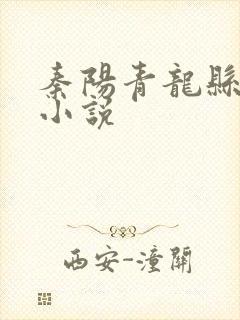 秦阳青龙县县长小说封面