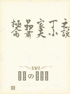 极品家丁之黑昆仑萧夫小说