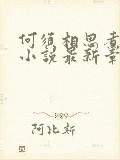 何须相思煮余年小说最新章节列