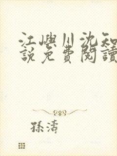 江屿川沈知意小说免费阅读