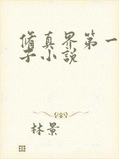 修真界第一病秧子小说