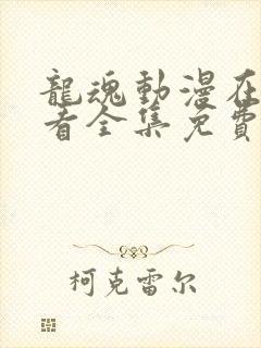 龙魂动漫在线观看全集免费播放高清