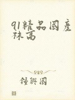 91精品国产丝袜高