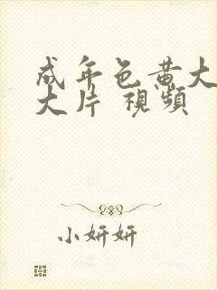 成年色黄大色黄大片 视频