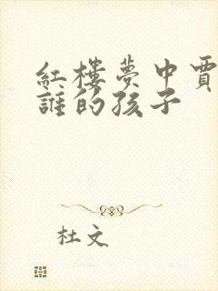 红楼梦中贾兰是谁的孩子封面