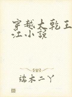 穿越大乾王朝王江小说