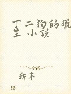 丁二狗的猎艳人生 小说